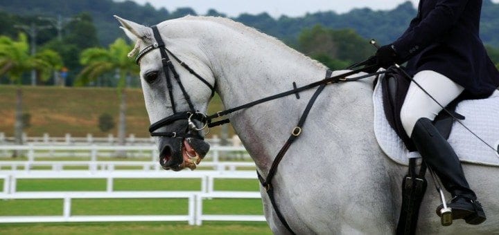 Riding a Horse