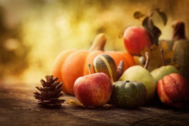 Apples, pumpkins, and other fall fruits