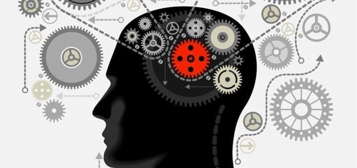 Brain activation