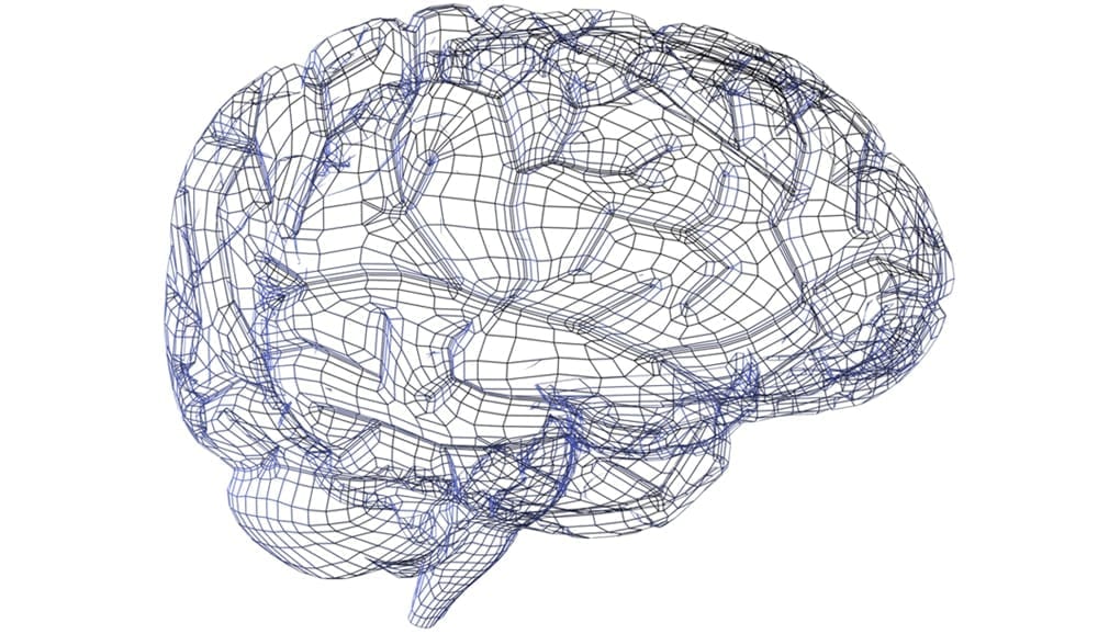 Brain picture