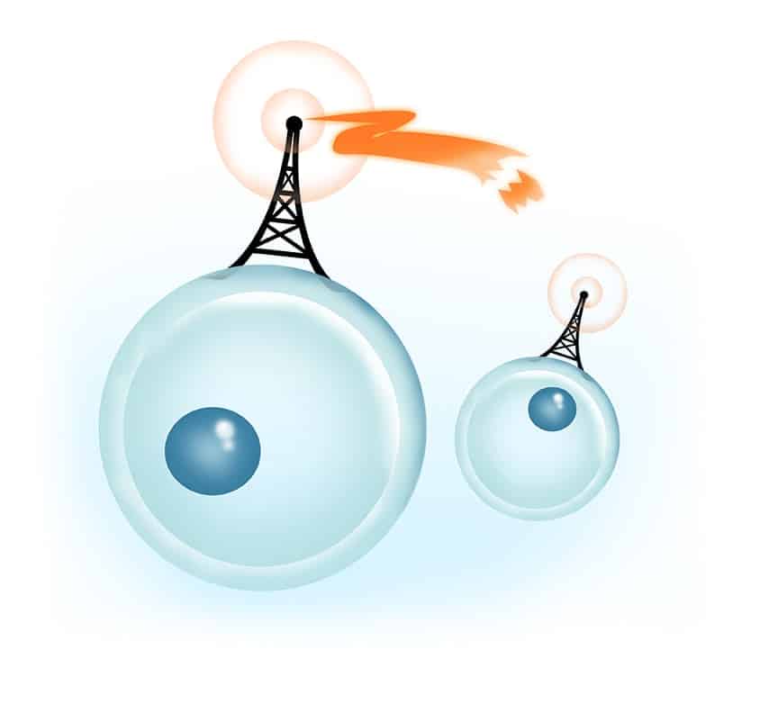 vitamin D cell signaling