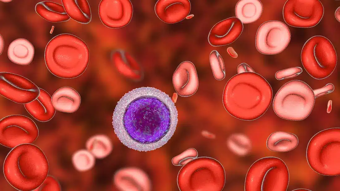 The 4 Benefits of Iron Intake and Aging